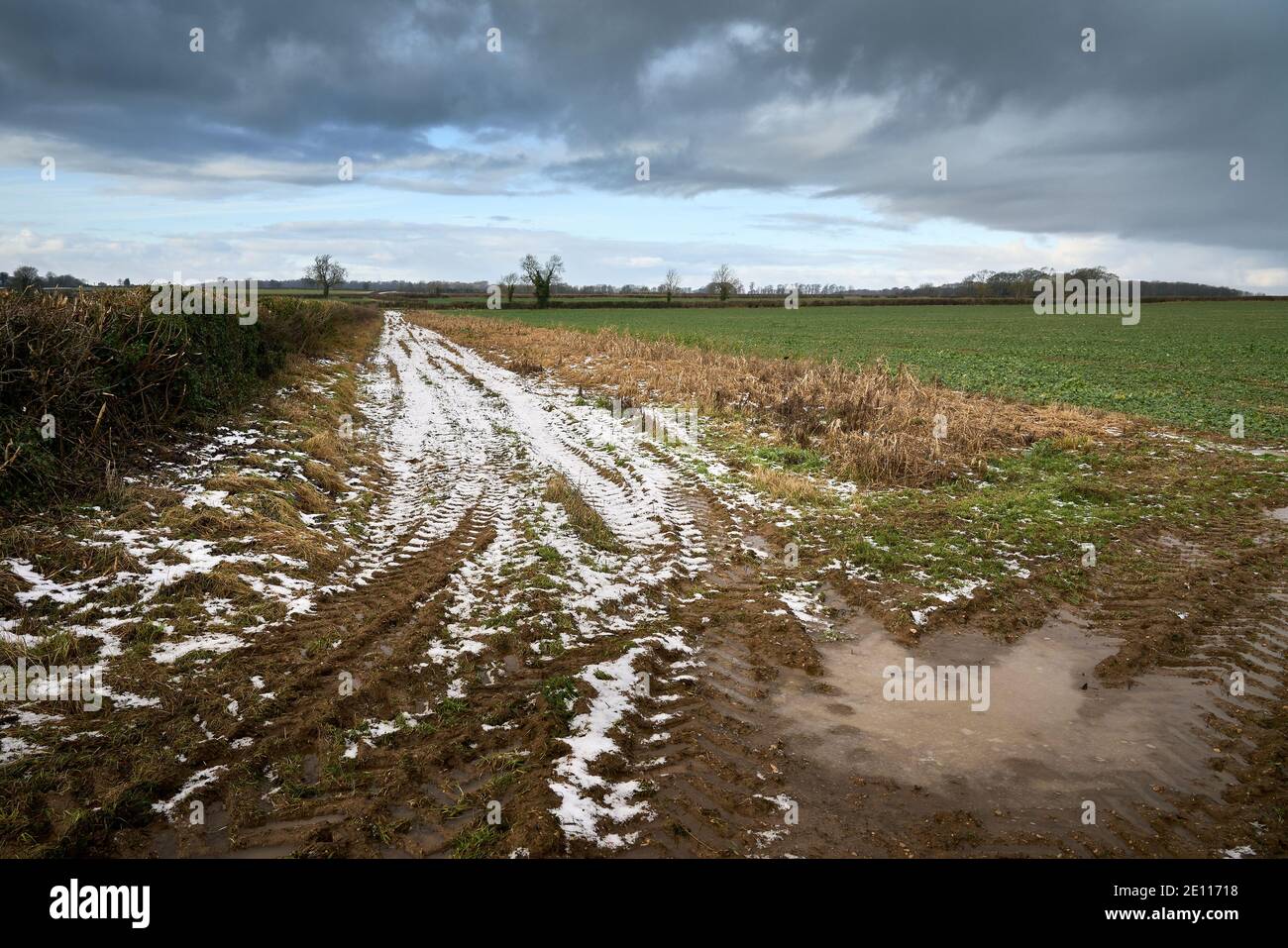 Field edge margin in Lincolnshire in Winter by hedge with snow on the ground and distant trees Stock Photo