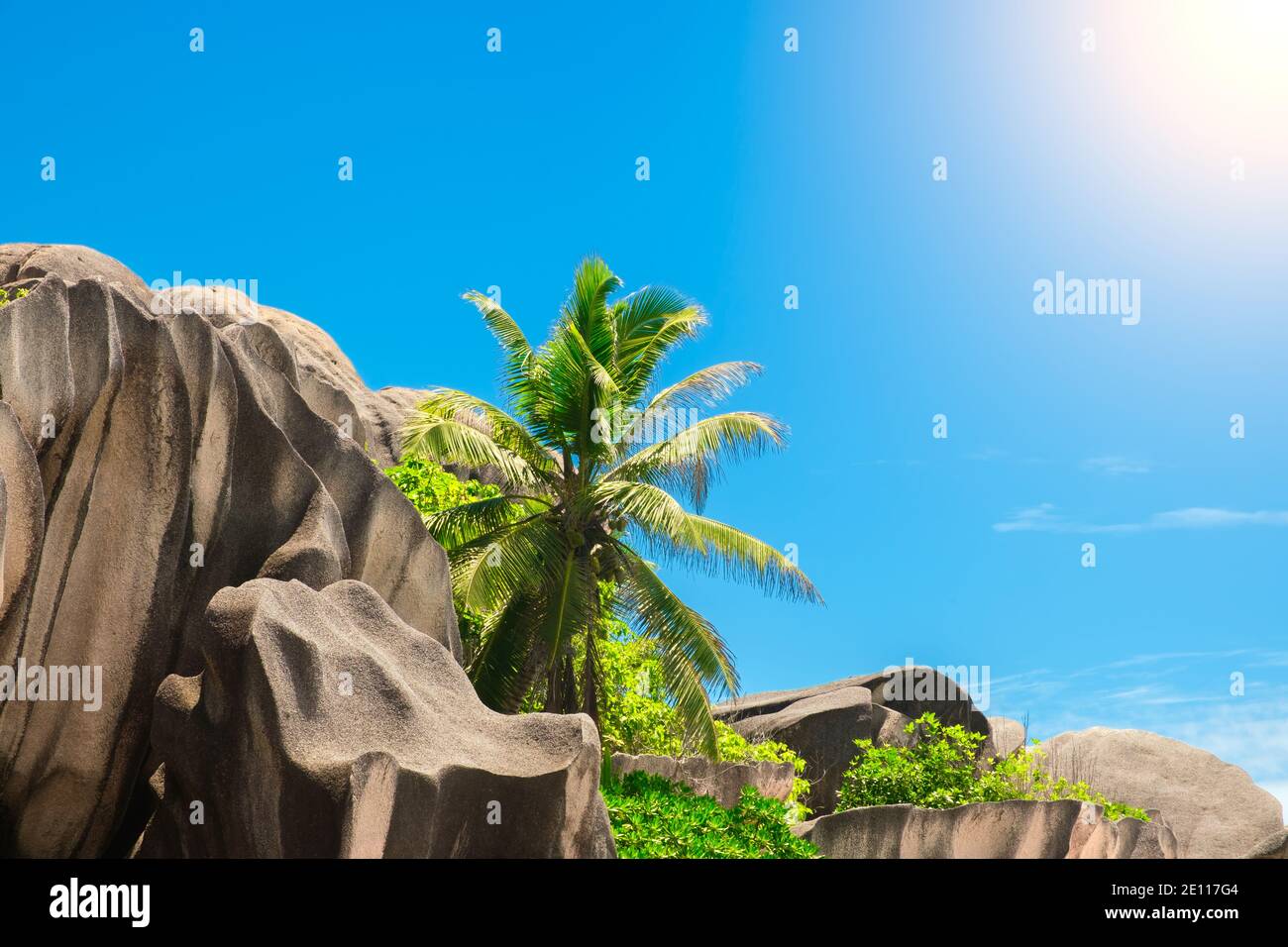 Palm and tropical beach Stock Photo - Alamy