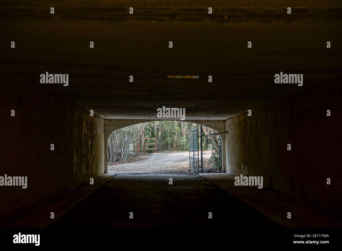 Construction tunnel at Dagny Johnson Key Largo Hammock Botanical State