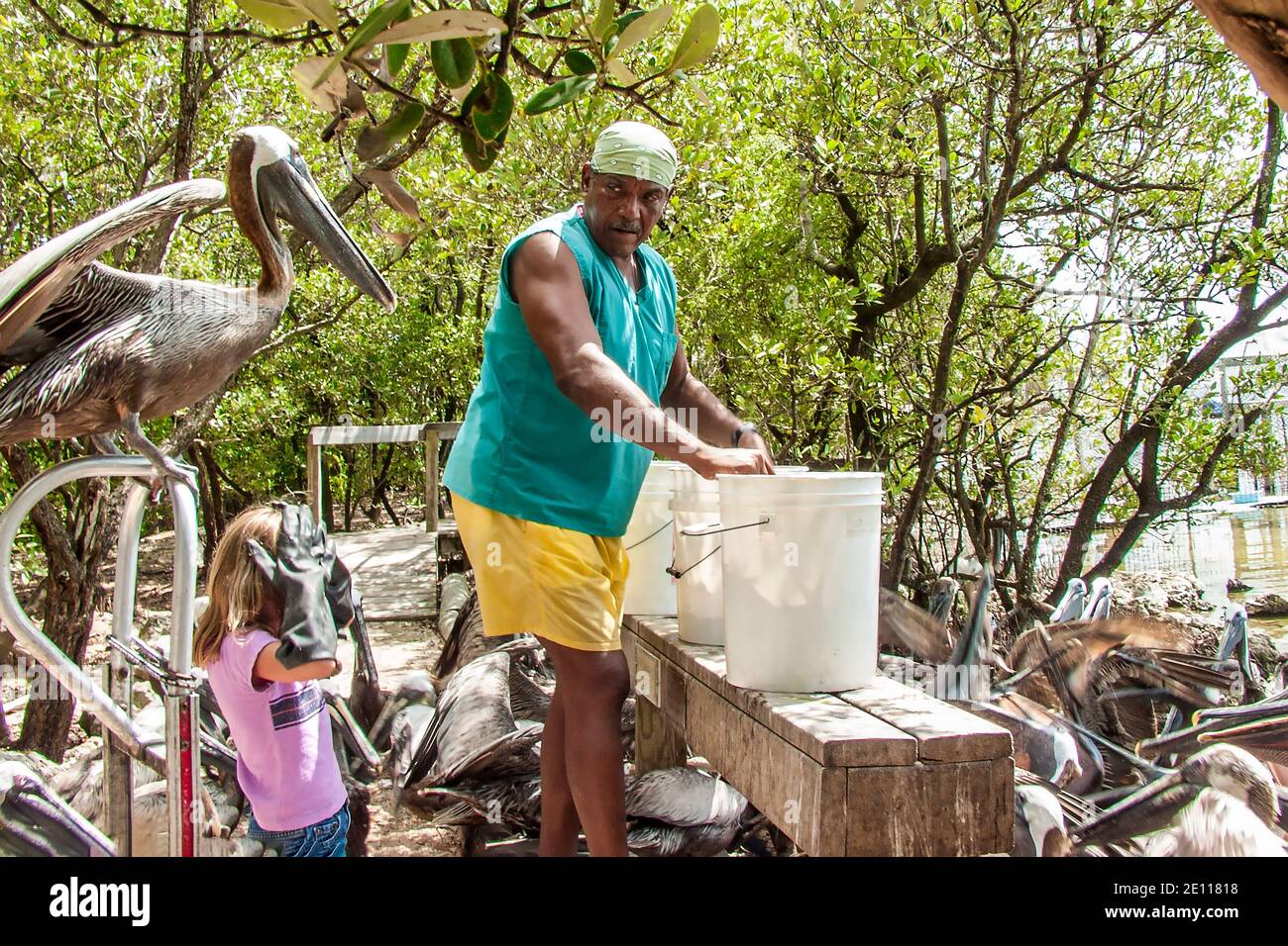 Animal technician feeds the pelicans at the Laura Quinn Wild Bird