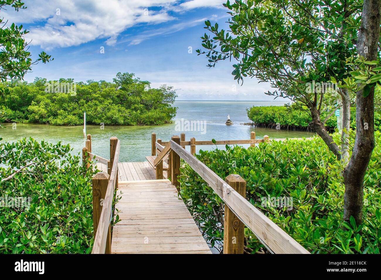 Dock along a mangrove lined inlet on Plantation Key in the Florida Keys