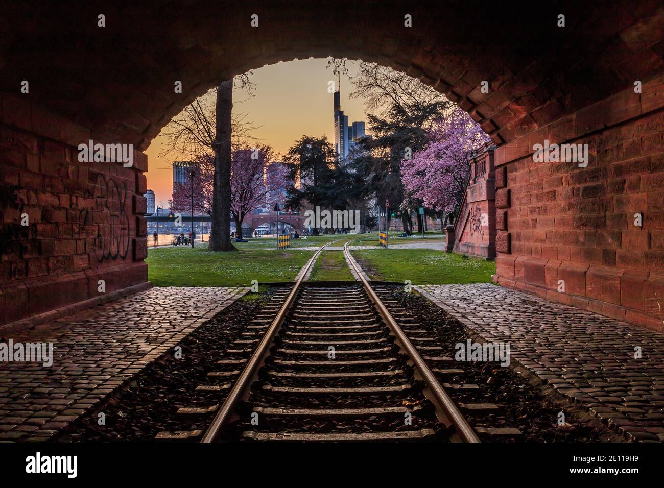 Historic railroad track with tunnel on the bank of the river Main in Frankfurt in the evening. Park with trees with blossoms and meadow. City skyline Stock Photo