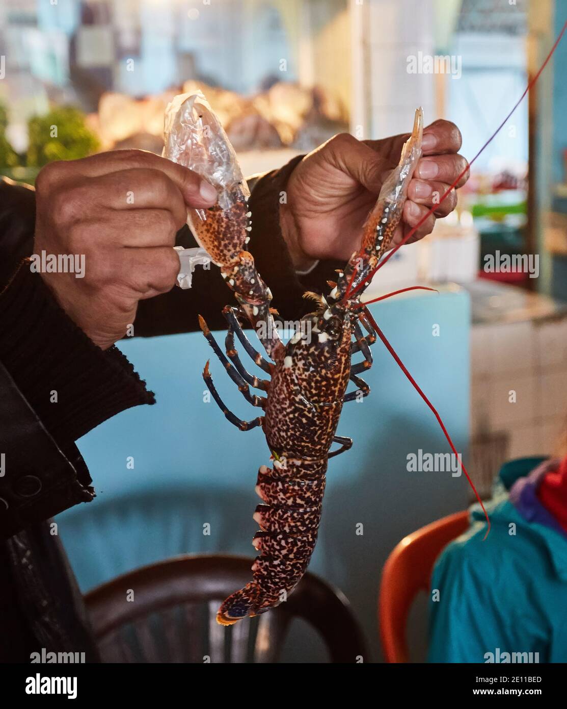 Real fish market and fresh fish, seafood from Atlantic ocean in Morocco  Stock Photo - Alamy
