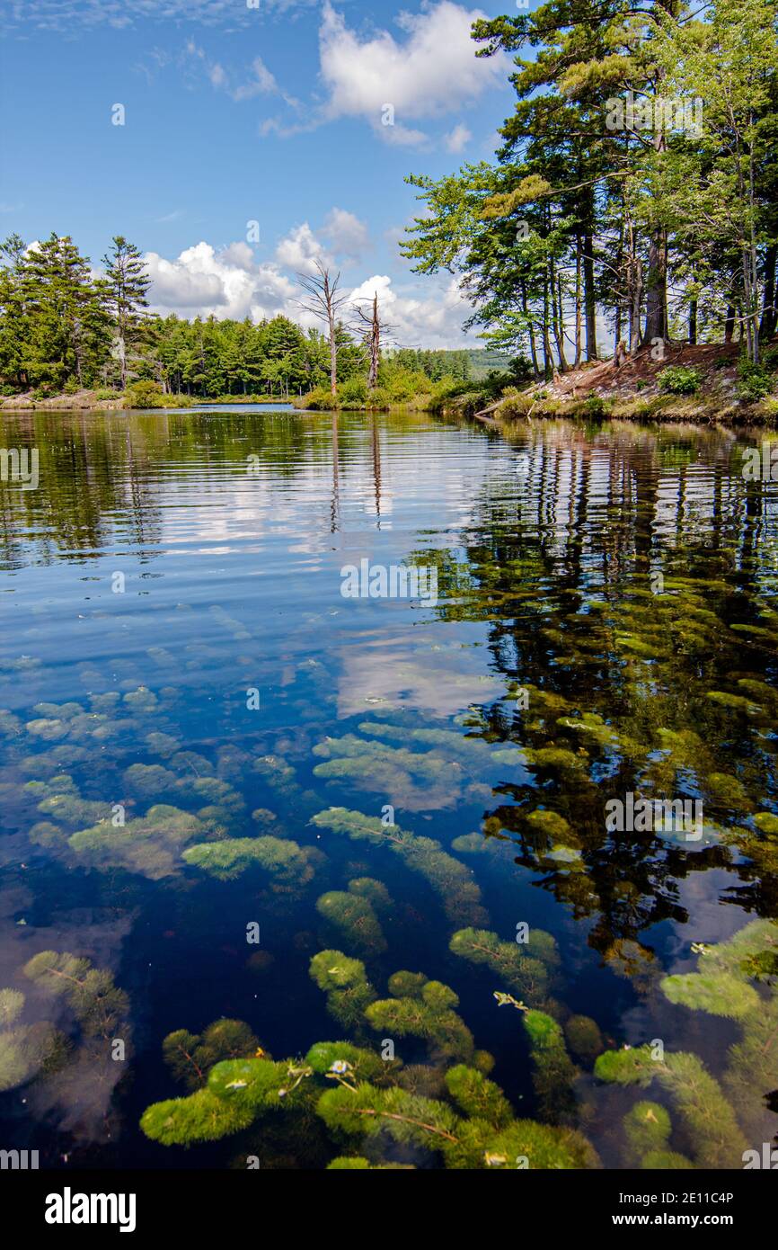 Tully Lake in Royalston, Massachusetts Stock Photo Alamy