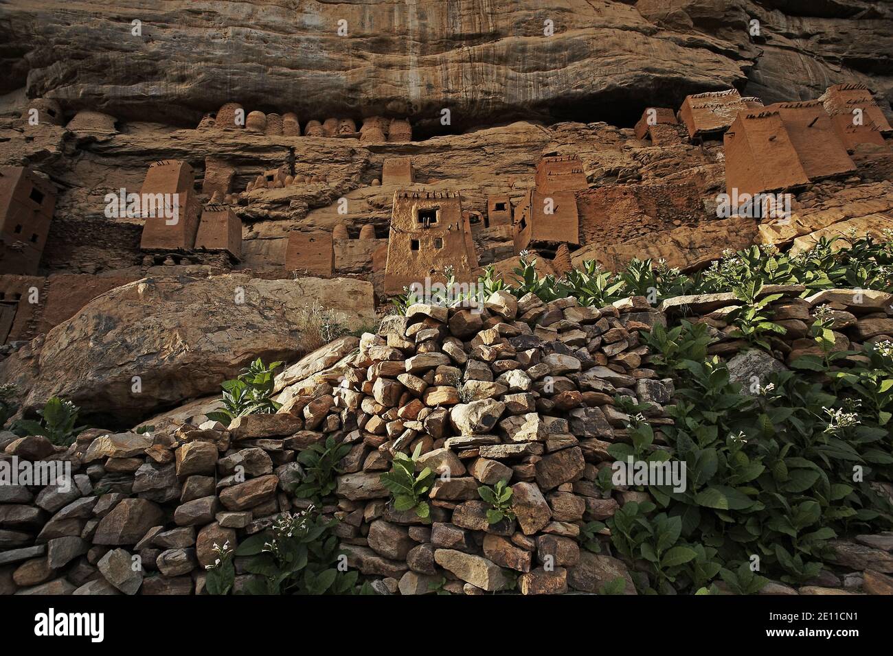 Dogon village in rock-face near Teli, Bandiagara Escarpment (Falaise de Bandiagara), Dogon land, Mali Stock Photo