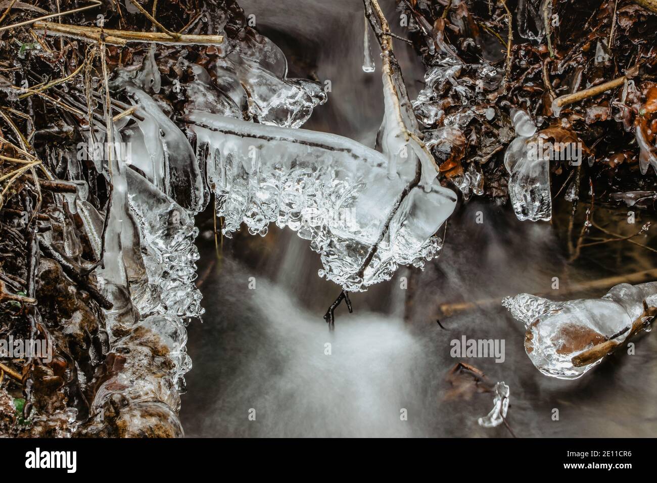 Close up of icicles near wild stream.Snowy winter scenery.Icicle in nature ice background.Cold slippery seasonal weather. Row of frosty icicles.Backgr Stock Photo