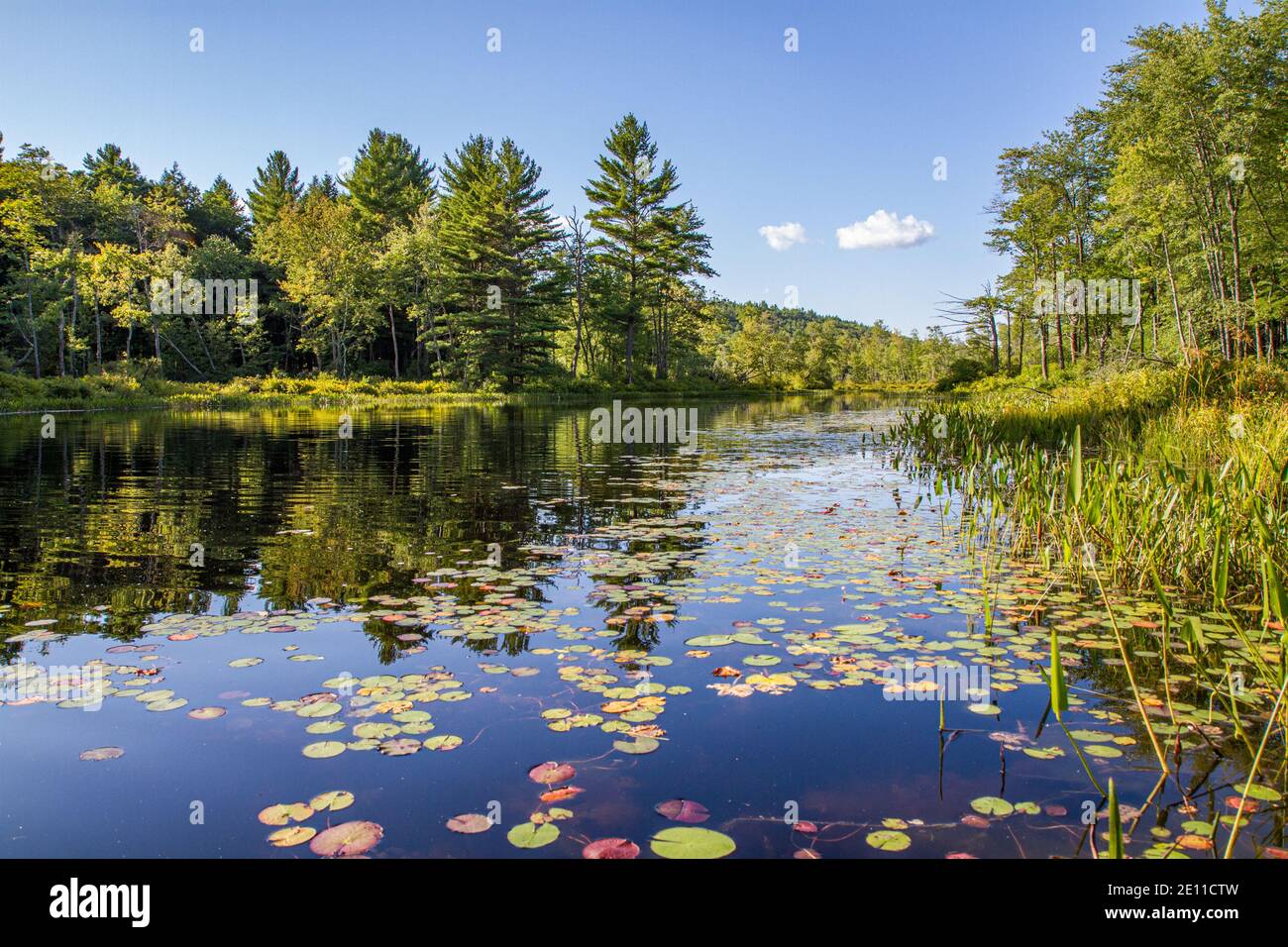 Tully River in Royalston, Massachusetts Stock Photo