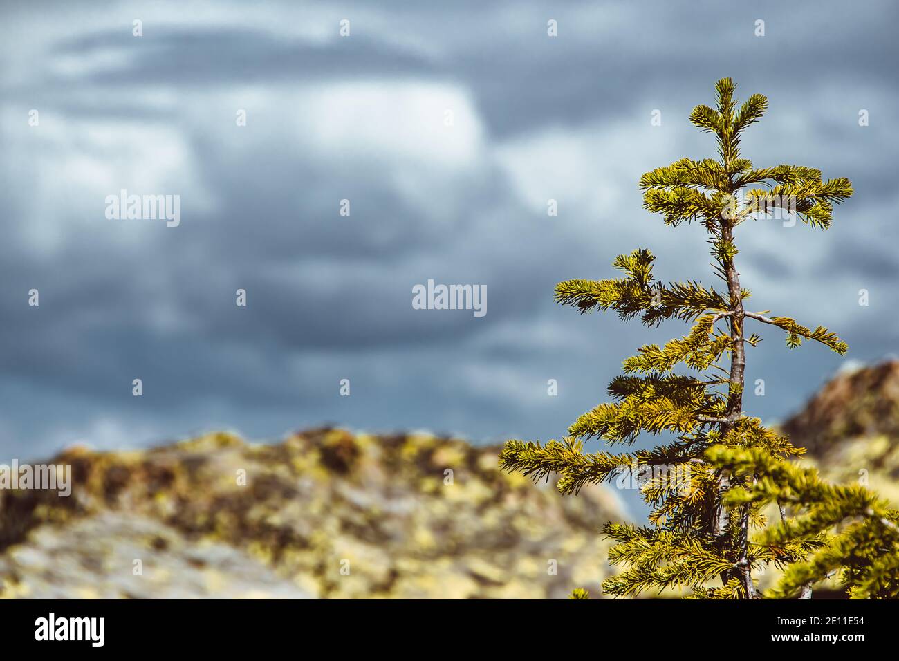 Rocky ridge hillside hires stock photography and images Alamy