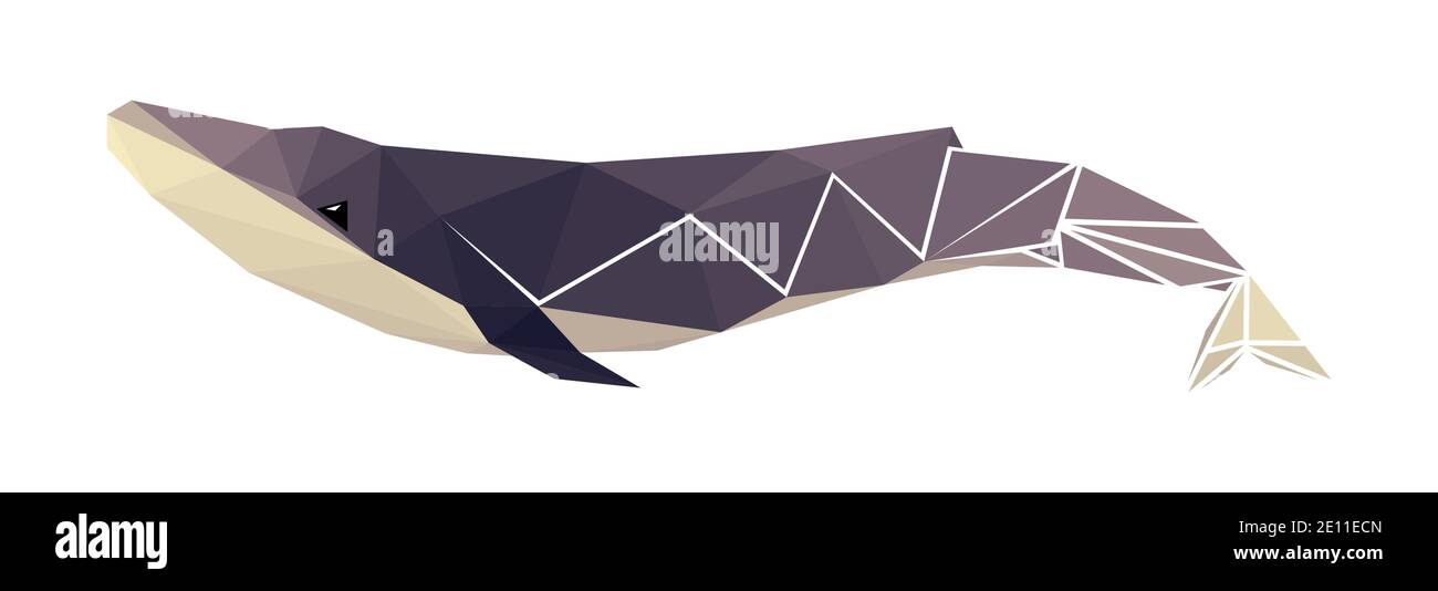Vector whale in low poly style Stock Vector