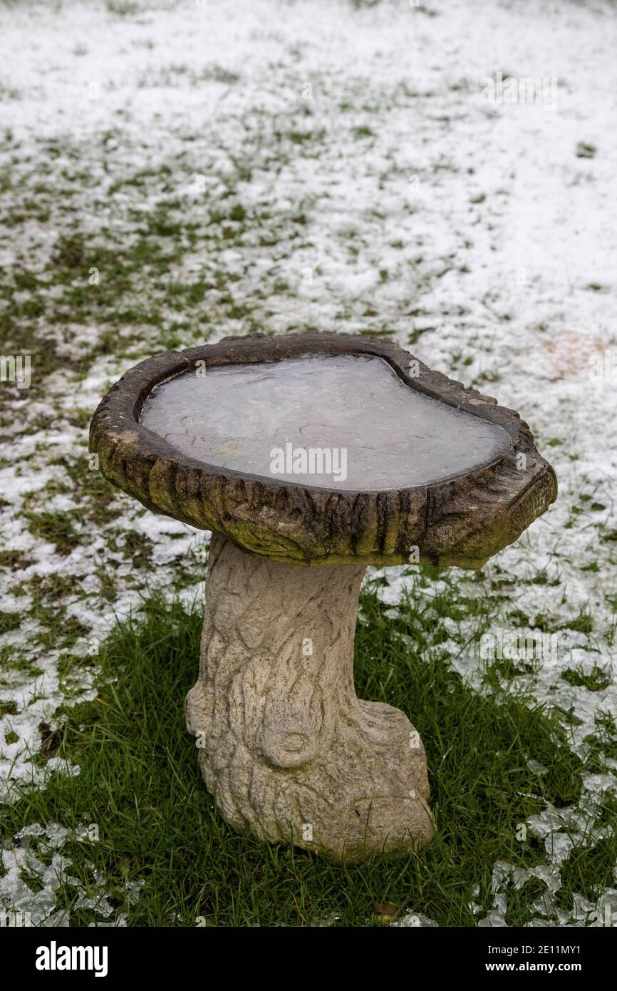 A stone garden bird bath in a residential garden with the water frozen solid following a hard frost. Stock Photo