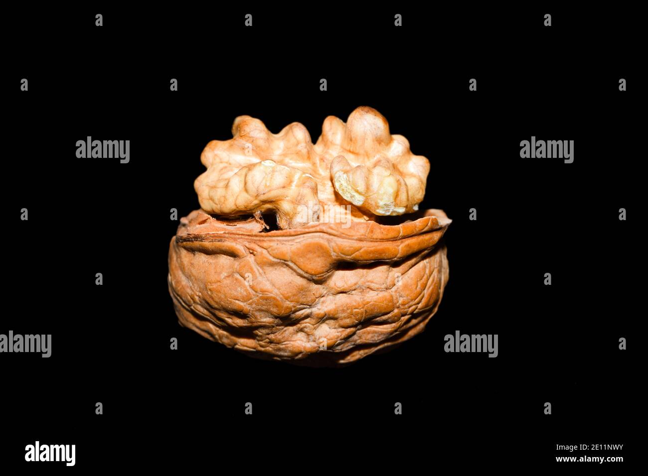 Open walnut Stock Photo
