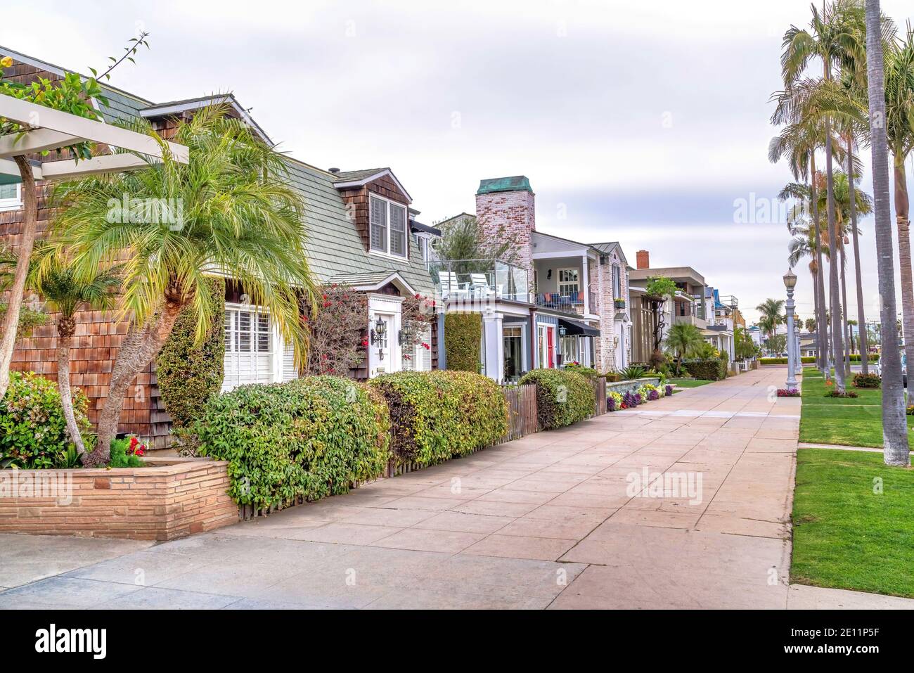 Charming town in Long Beach California with houses on palm tree