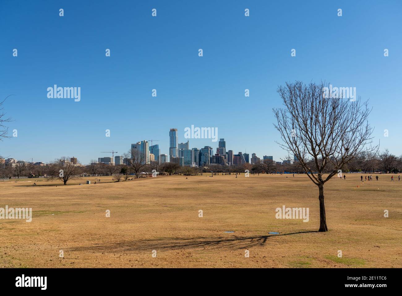 View of Downtown Austin Skyline from Zilker Park in Winter Stock Photo