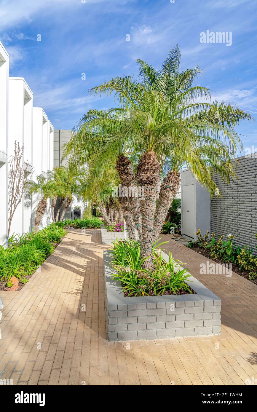 Landscape yard of modern townhouses with flat roof and projecting ...