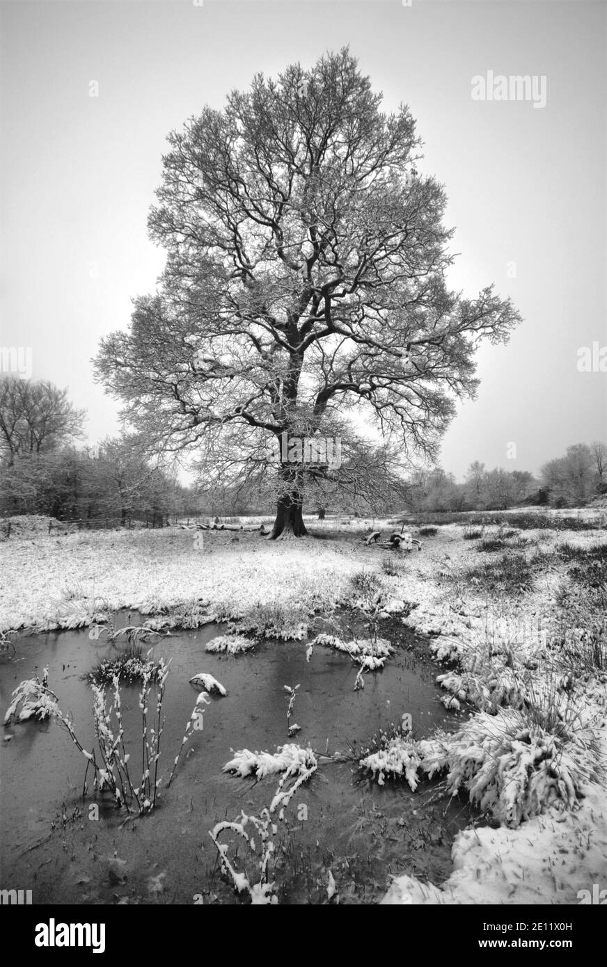 Winter in Cheshire Stock Photo