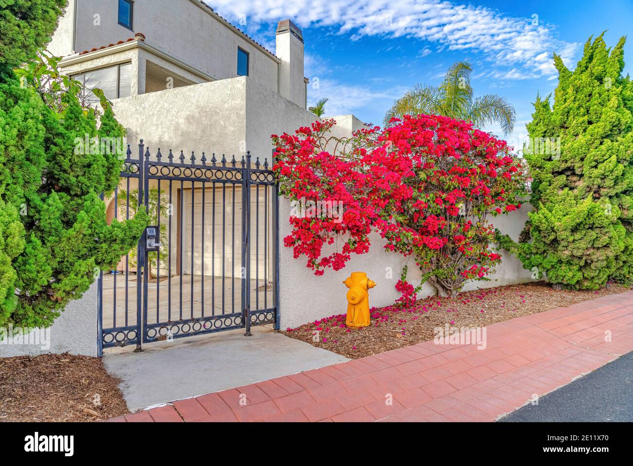 Iron gate and fence of house with plants flowers and fire hydrant at