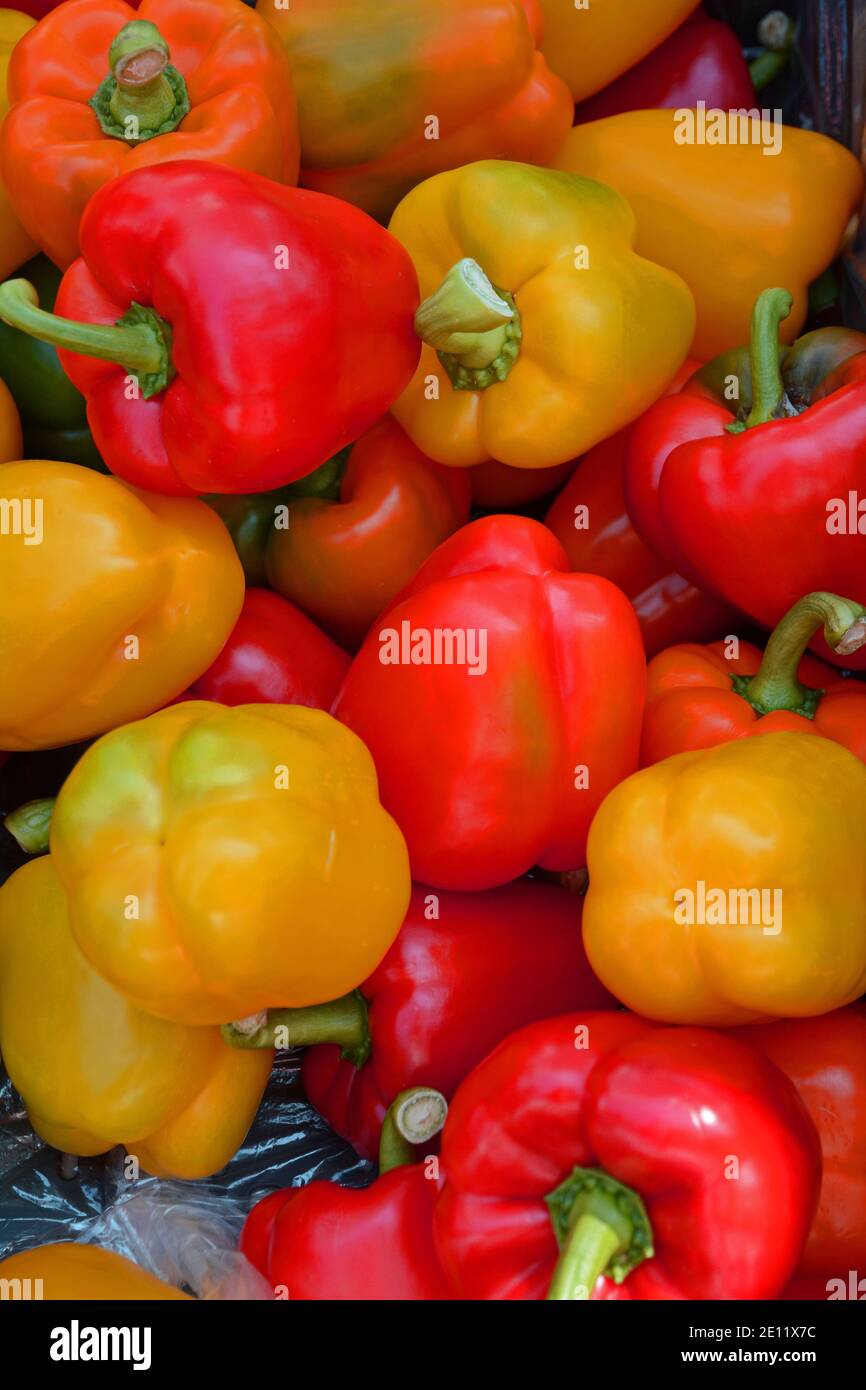 Red orange yellow green peppers hi-res stock photography and images - Alamy