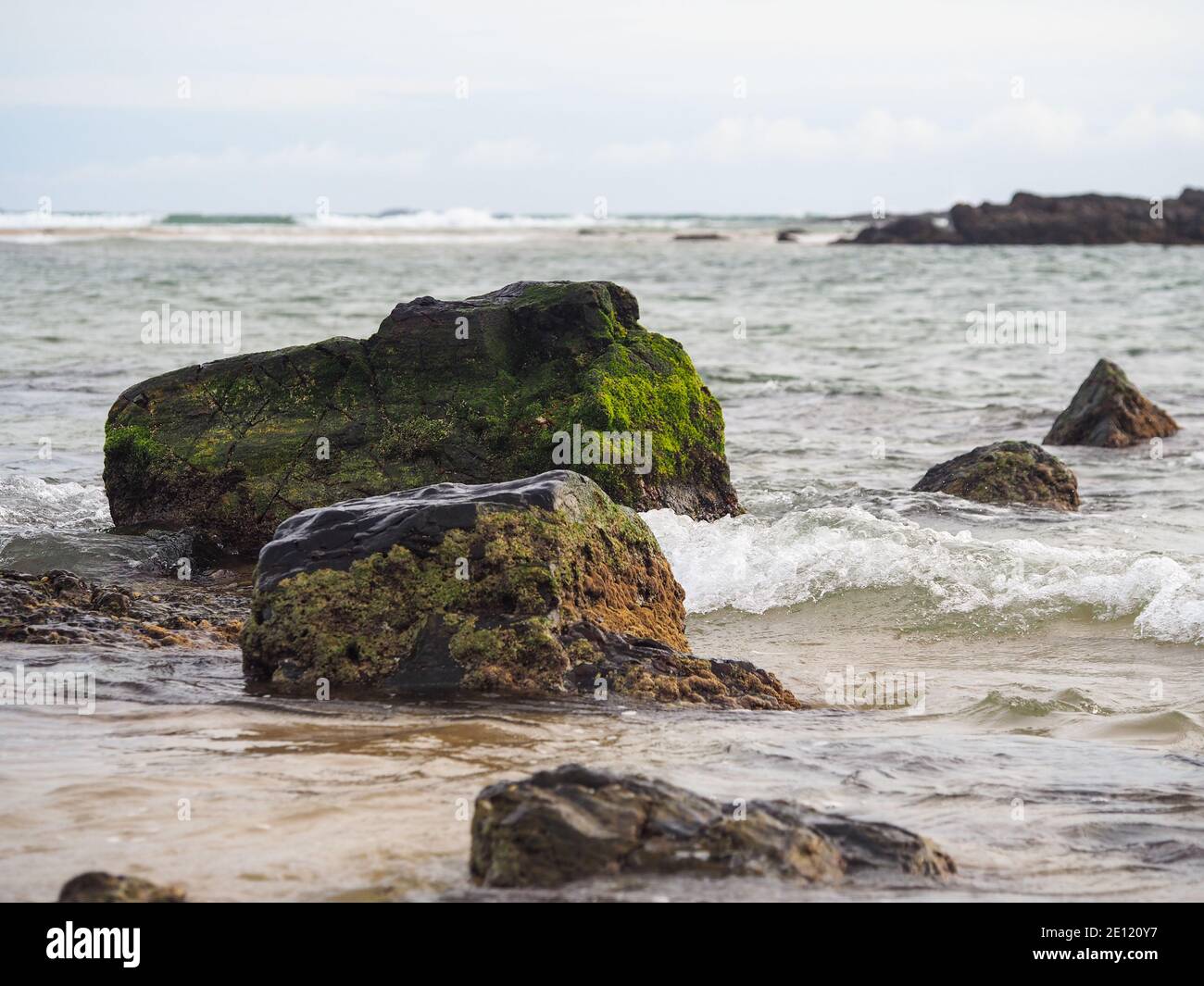 a carpet of green moss and Algae on these large beach rocks, sea waves washing over the sand, Mid North Coast, Australia Stock Photo