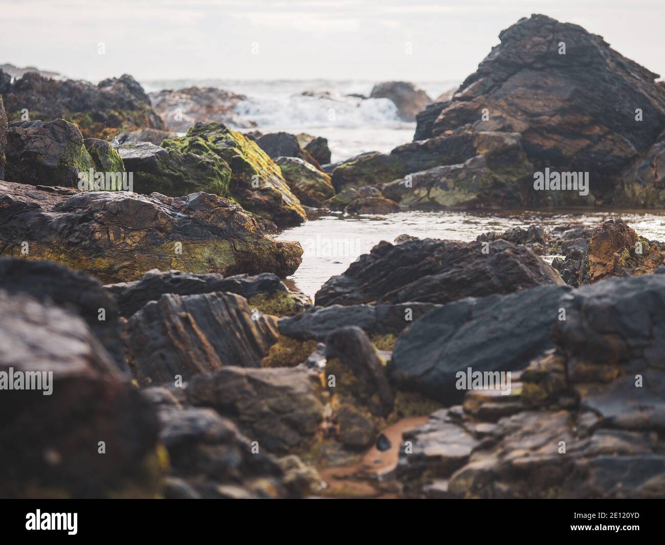 early summer's morning seascape with green covered rocks and sea water ...