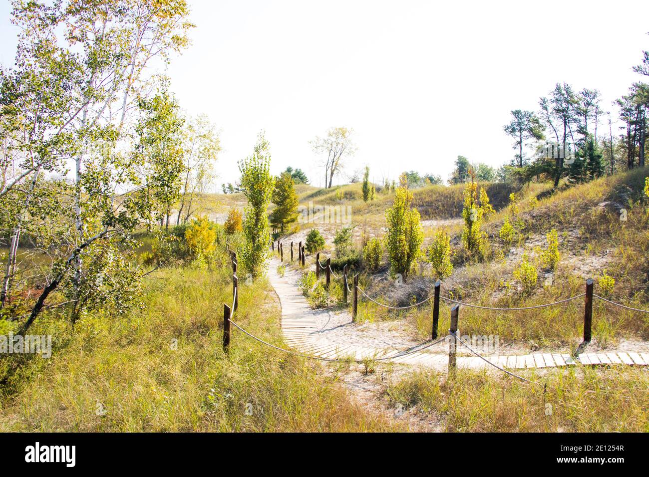 Kohler Andrae State Park Dunes Stock Photo Alamy