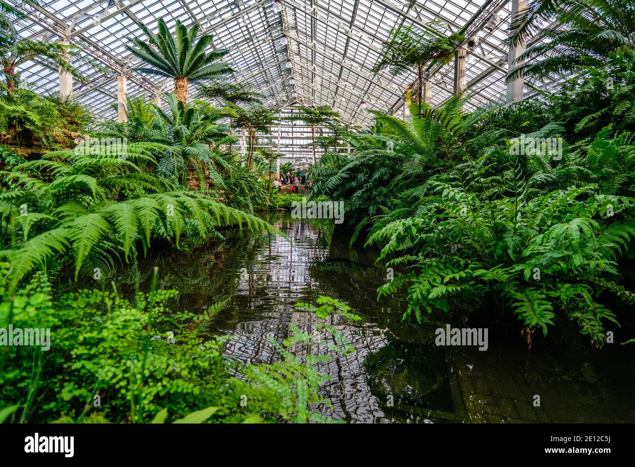 Beautiful installations at the Garfield Park Observatory Stock Photo
