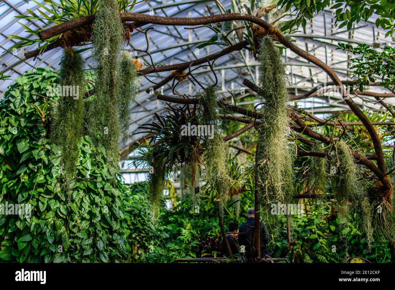 Beautiful installations at the Garfield Park Observatory Stock Photo