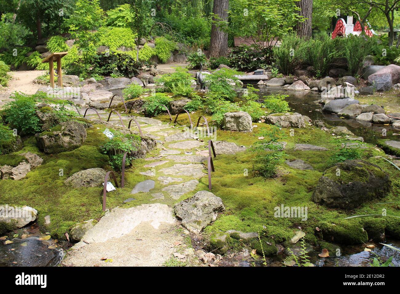 A stone pathway through moss covered ground with rocks, small plants