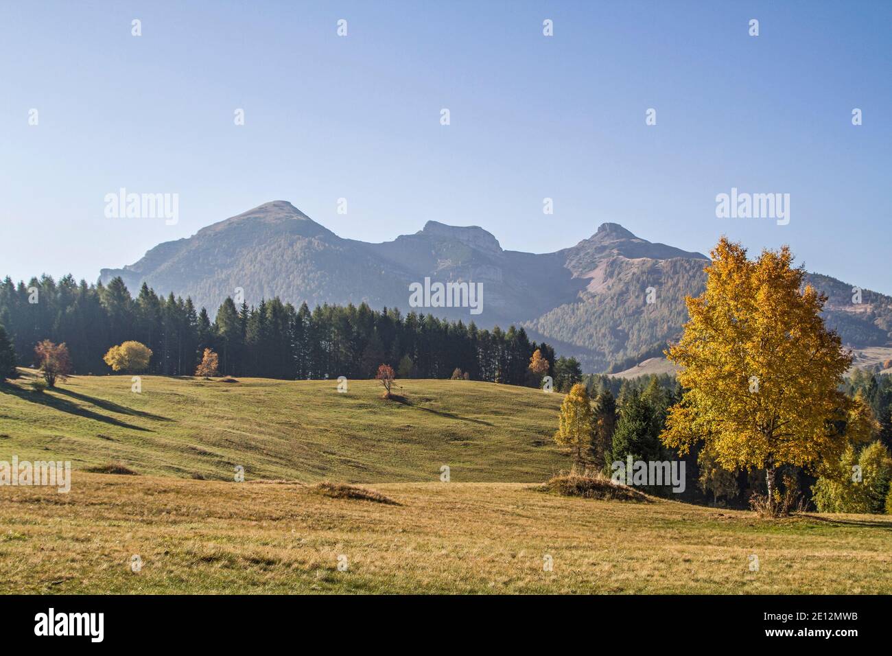 Autumn Mood On The Plateau Of The Viote In The Bondone Mountains Stock Photo