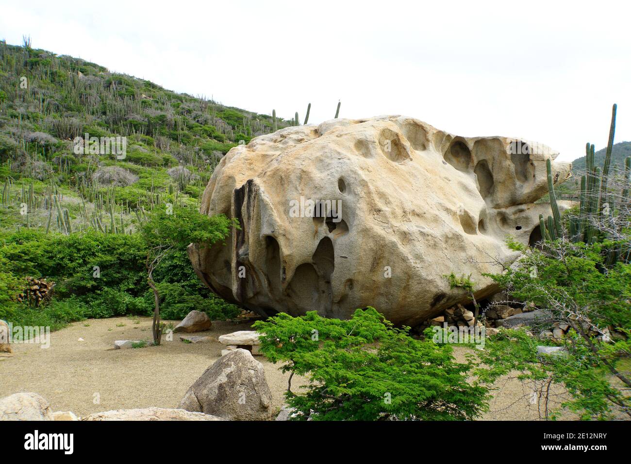 The view of tropical plants, cactus and large stones at Ayo Rock ...