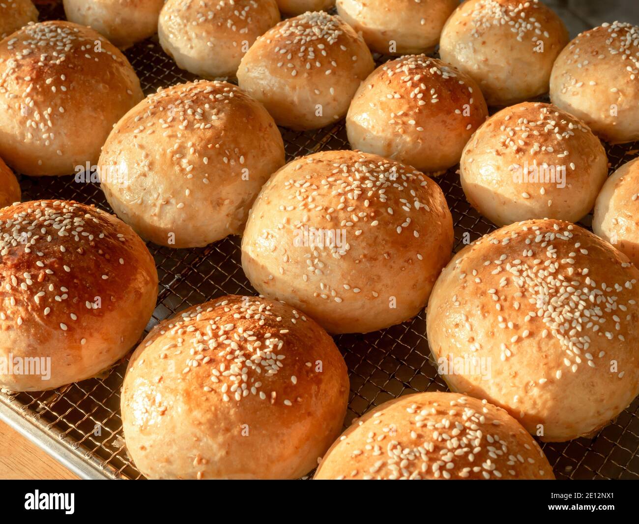 Fresh homemade burger buns with white sesame seed. Tasty sweet sandwich