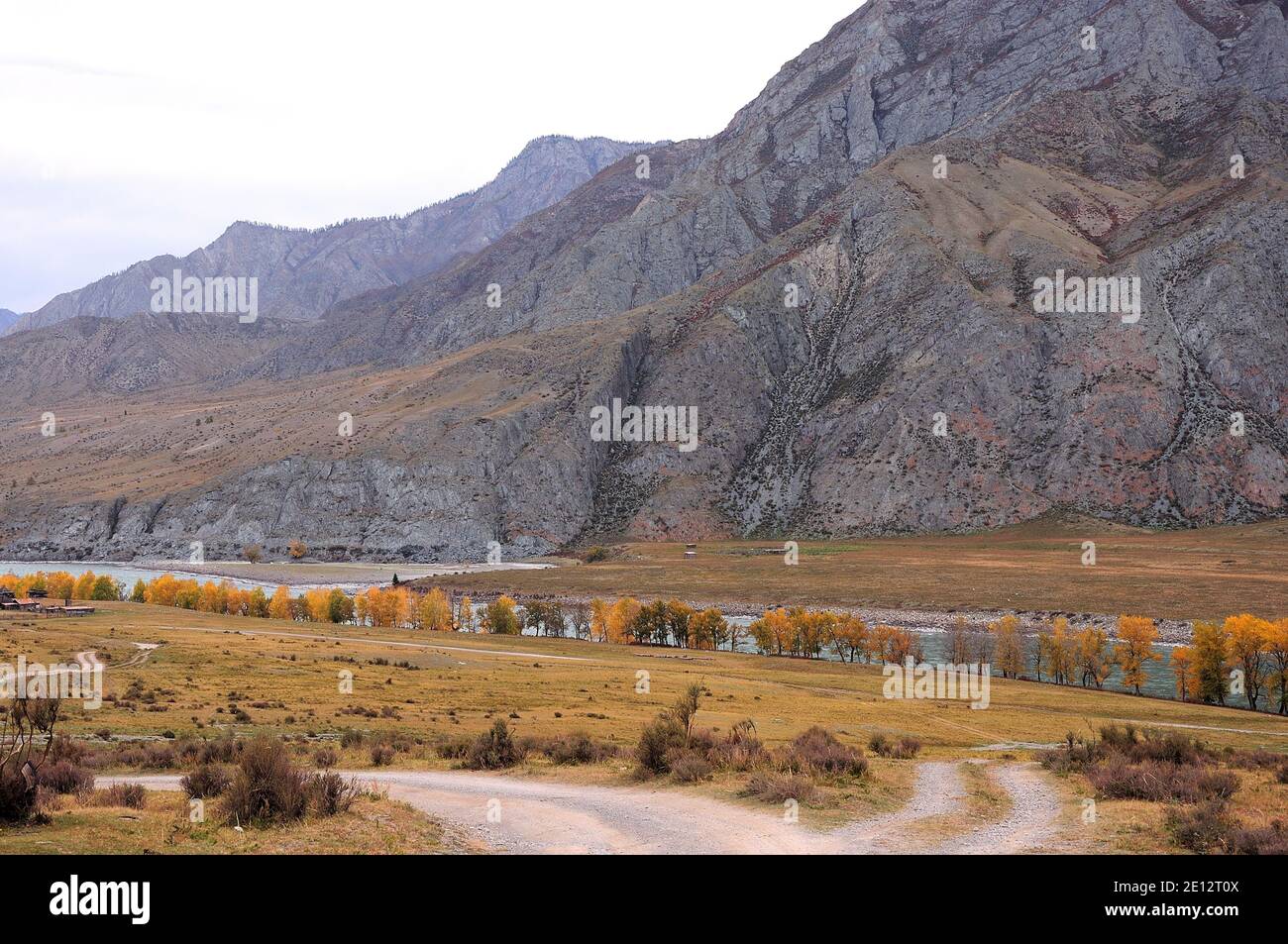 Growing along gravel road hi-res stock photography and images - Alamy