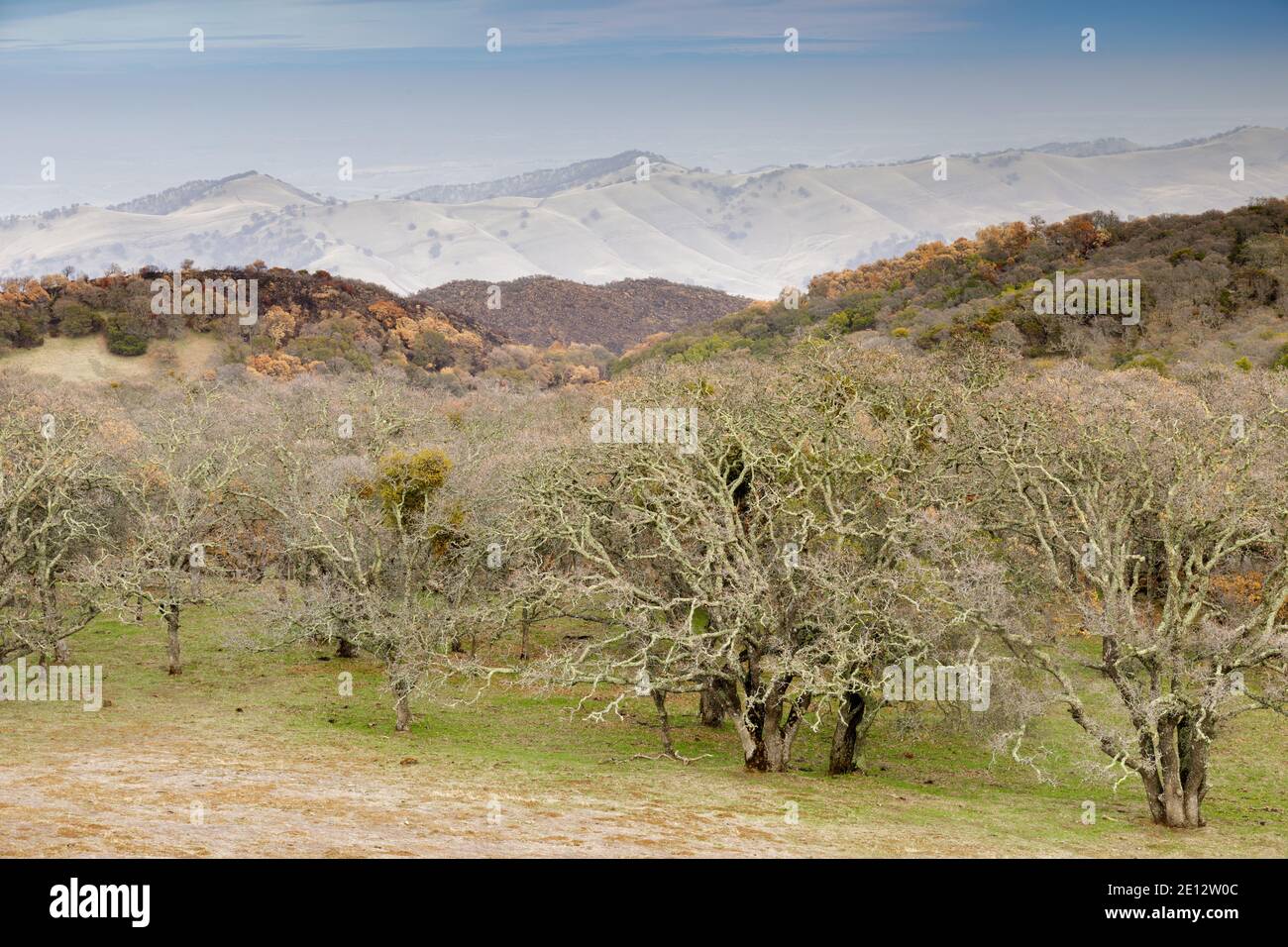 California central valley hi-res stock photography and images - Alamy