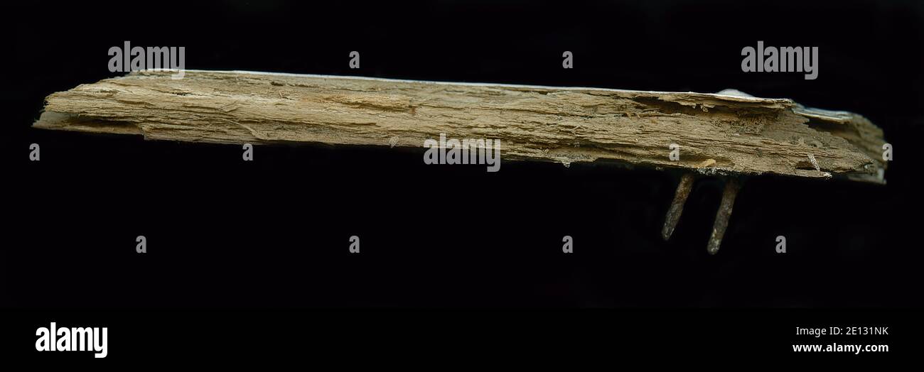Wood splinter hires stock photography and images Alamy