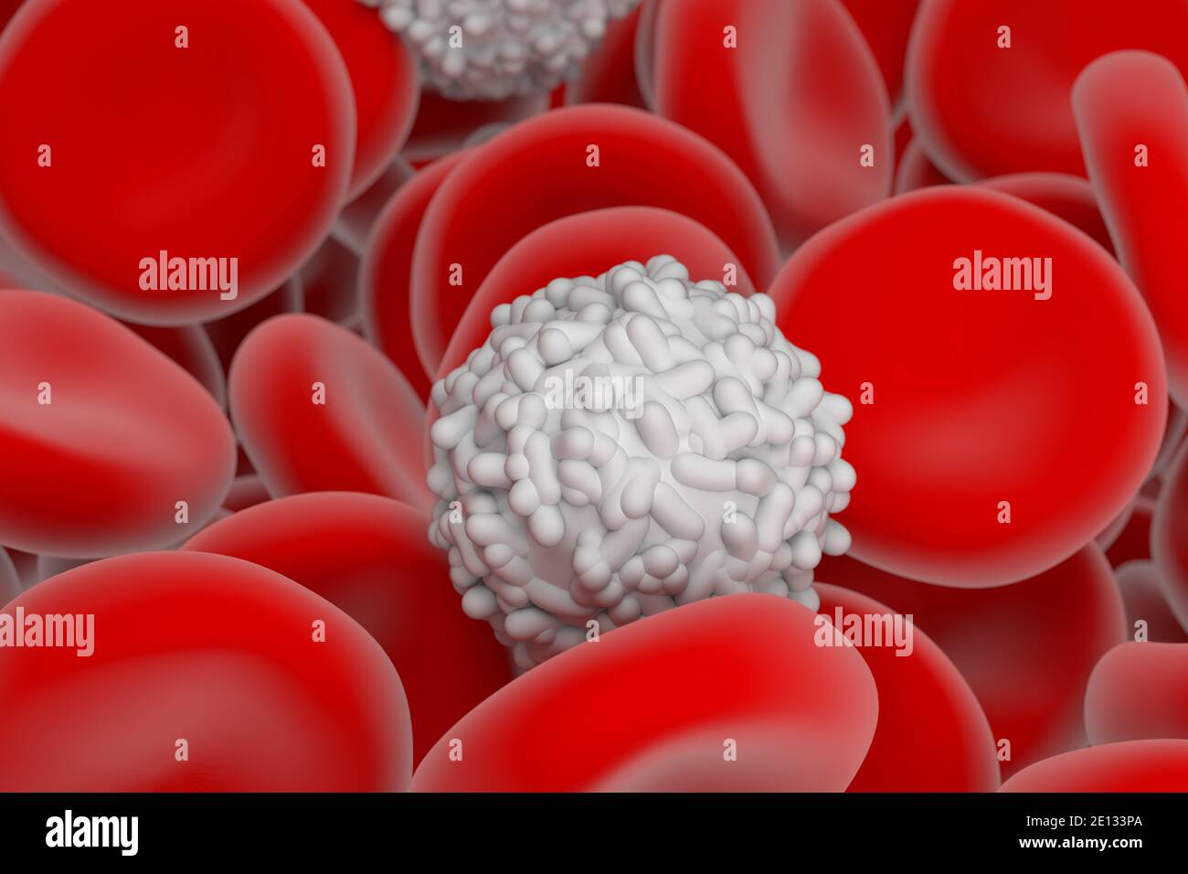 Red and white blood cell in the human system 3d illustration close Biology Diagrams