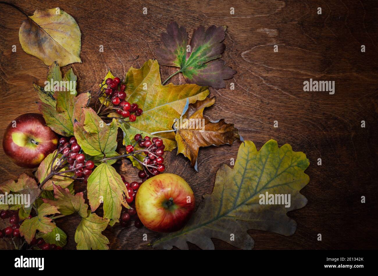 branch of viburnum dry leaves and apples on a dark wooden background ...
