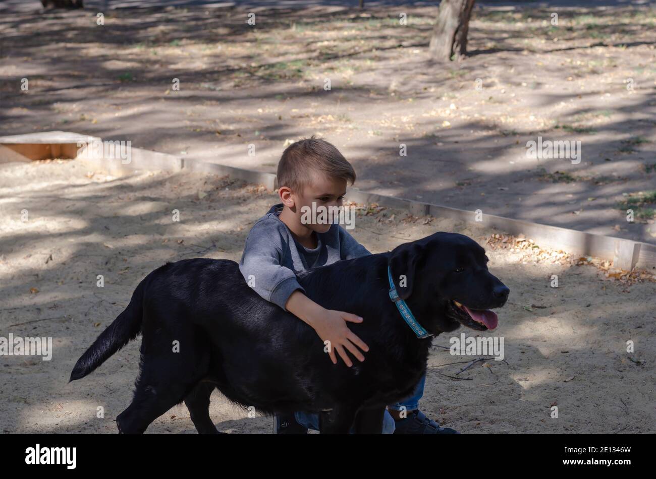 Children and pets concept. Happy Child and Dog on a walk. An eight-year-old boy embraces a black labrador in the room. Stock Photo