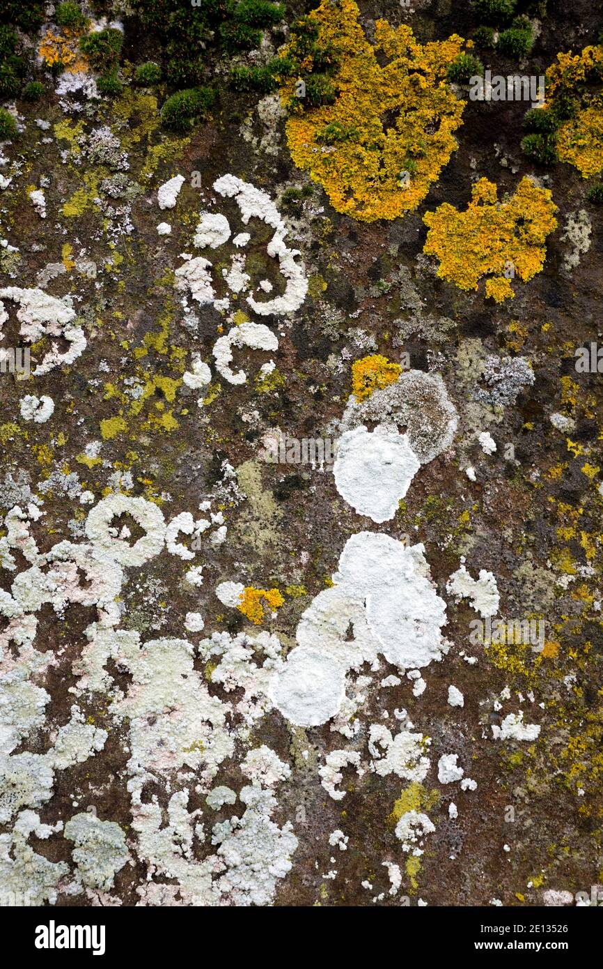 Very old gravestone hi-res stock photography and images - Alamy