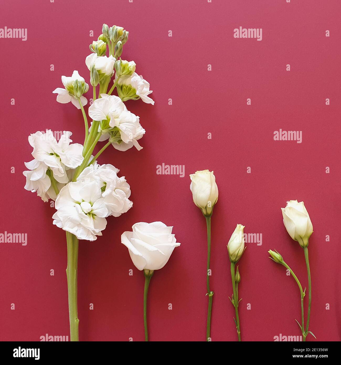 My Image 15