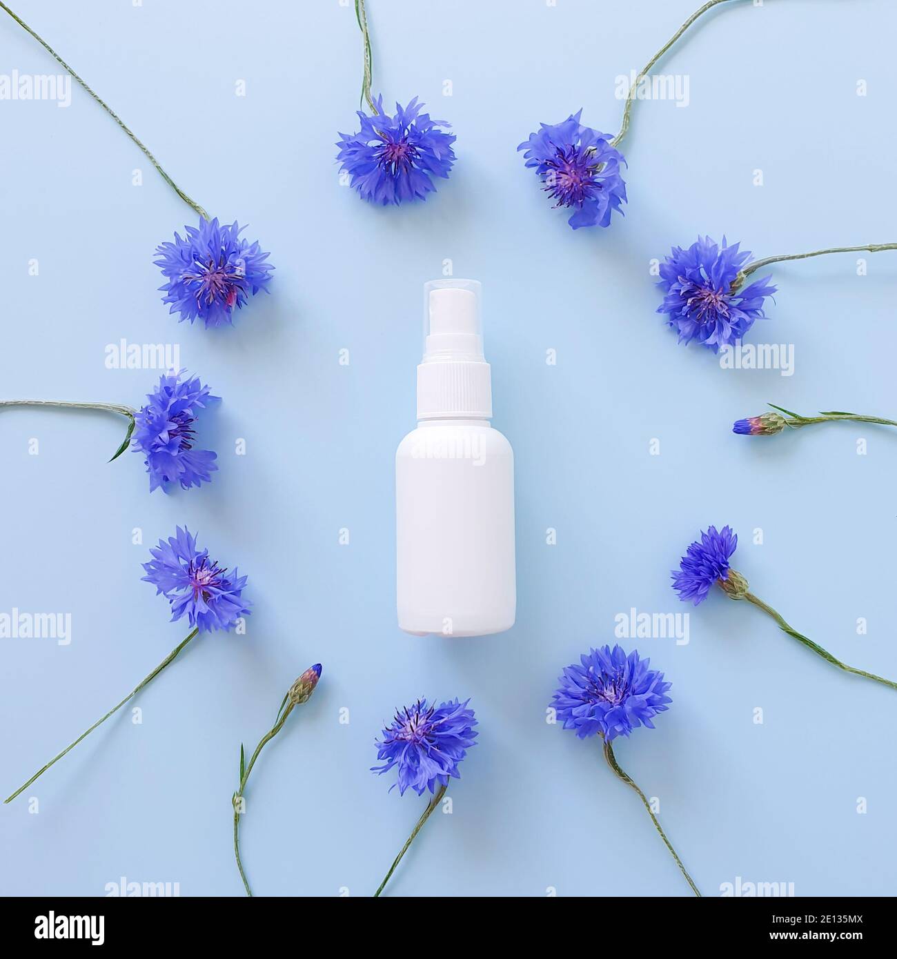 Download Top View And Close Up Of Mockup Of Unbranded White Plastic Spray Bottle And Floral Frame Of Blue Lowers On A Pastel Blue Background Natural Organic S Stock Photo Alamy