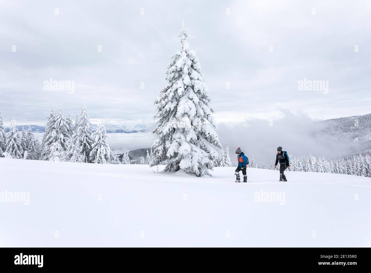 Beautiful winter landscape tree hi-res stock photography and images - Alamy