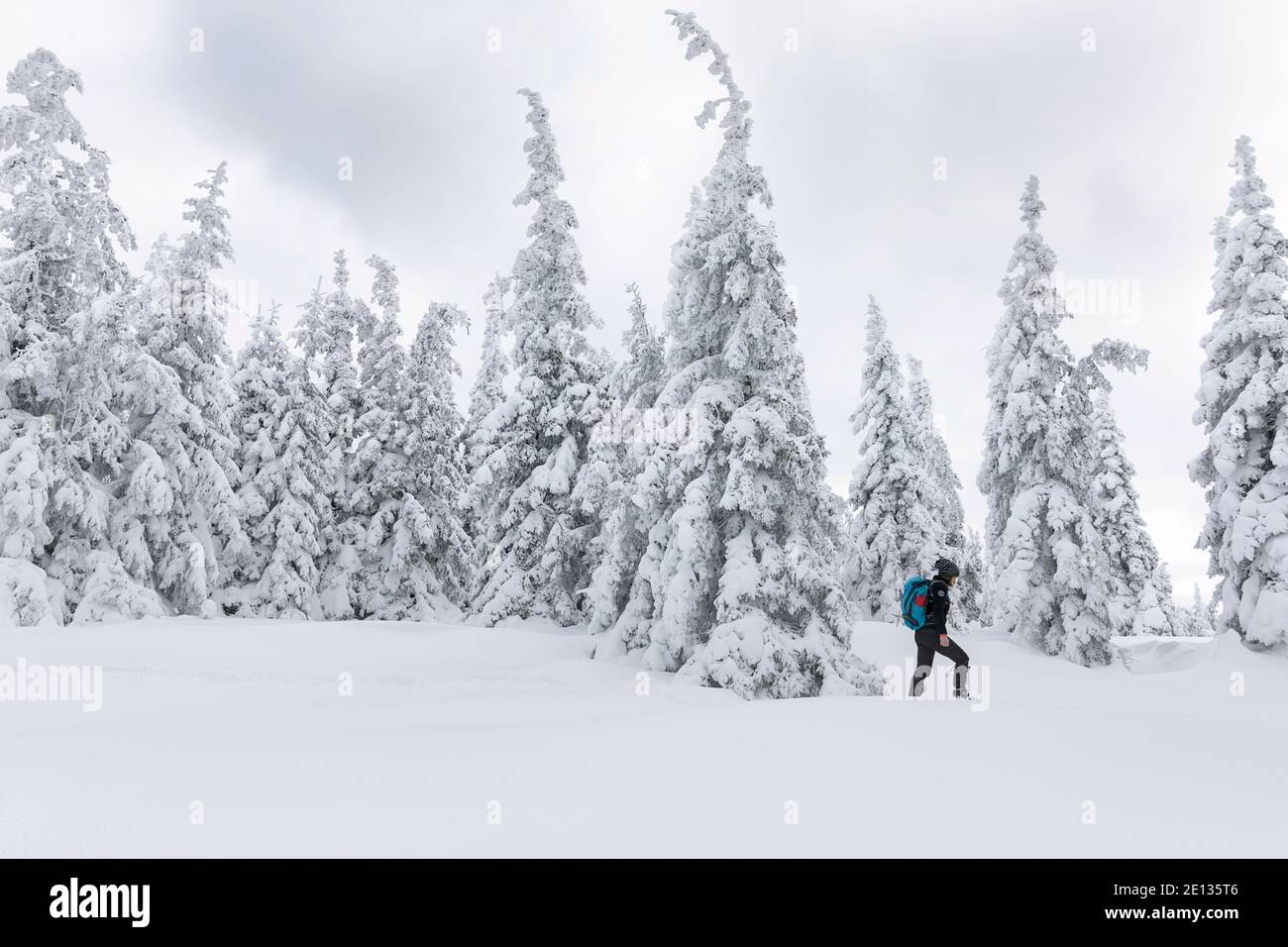 Woman hiking in snowy mountains hi-res stock photography and images - Alamy