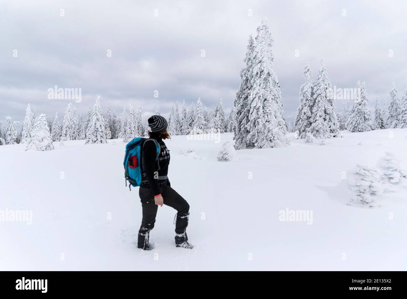 Woman hiking in snow covered winter landscape, beautiful snowy pine trees Stock Photo
