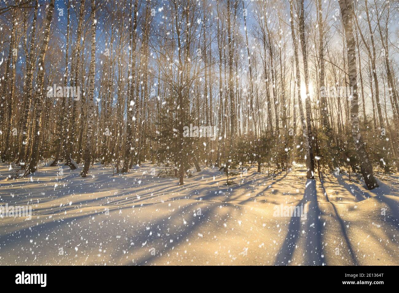 Summer Rays Winter Rays Snow Sun Rays WSTM Clip
