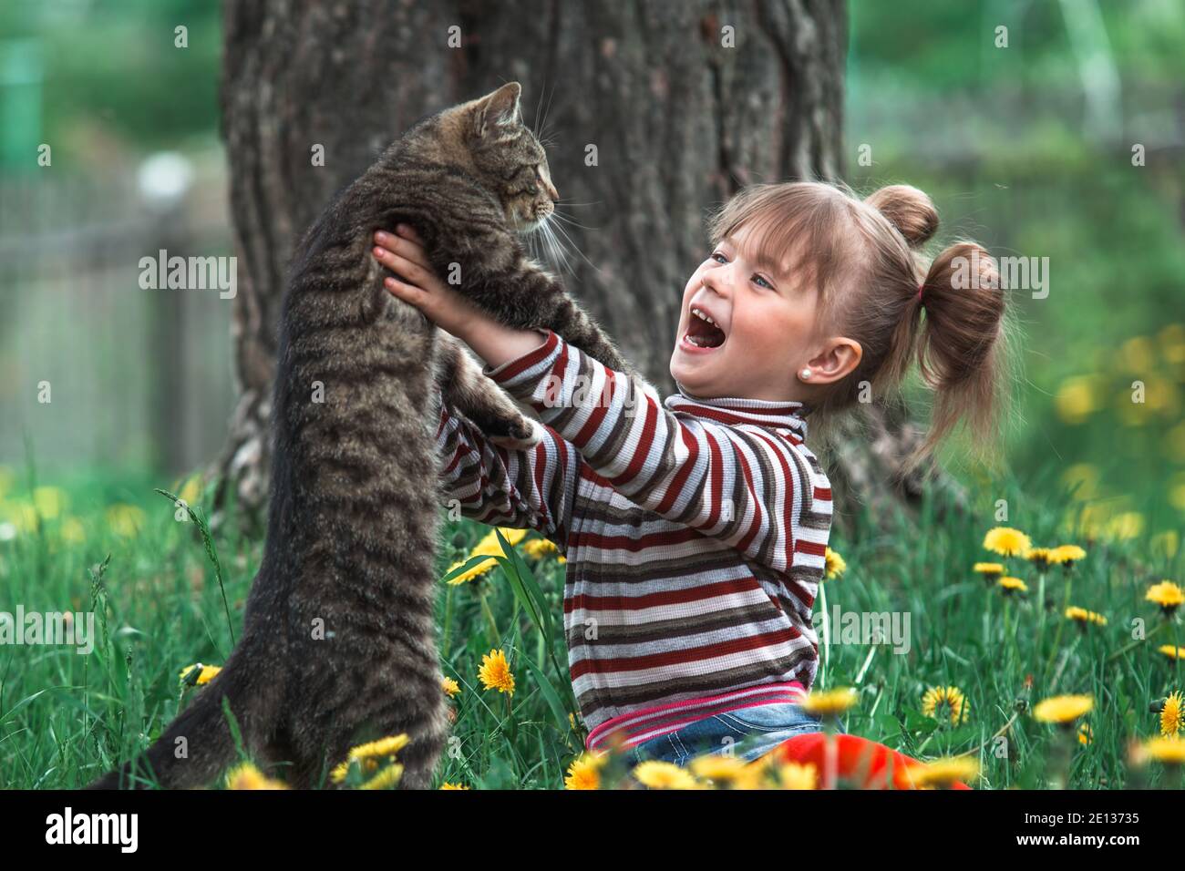 Cute little girl and cat in the green grass Stock Photo - Alamy