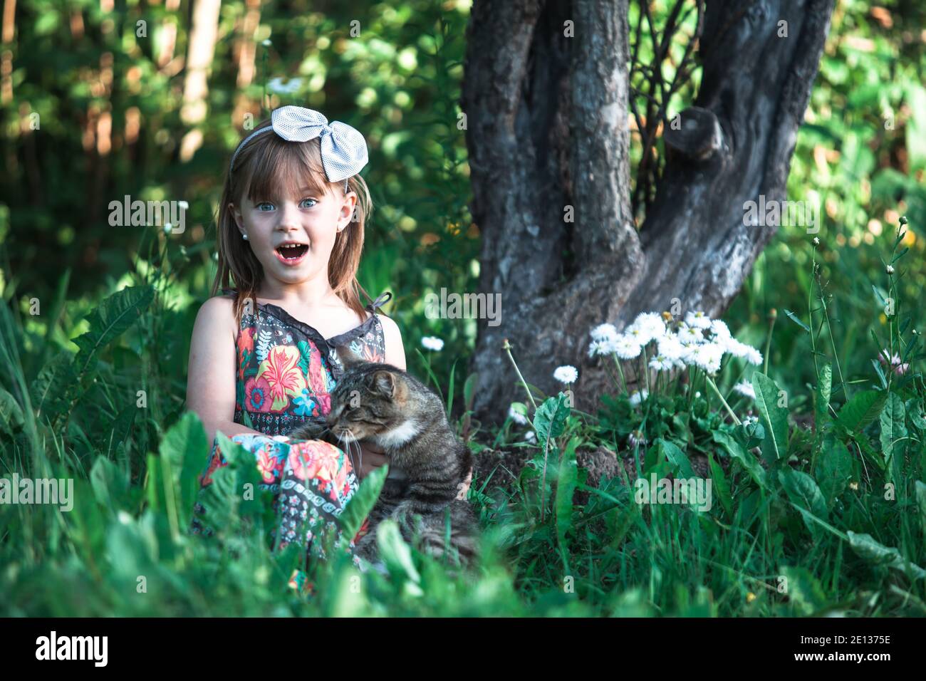 Little cute girl playing with a cat in the park Stock Photo - Alamy
