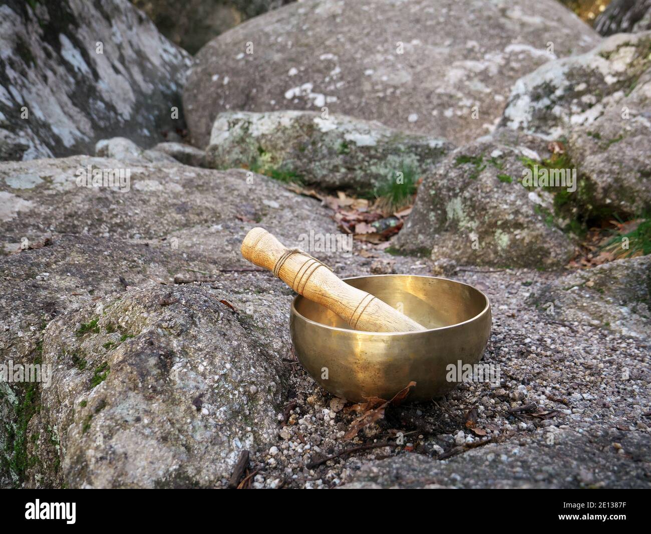 A singing bowl set on a large rock in nature Stock Photo