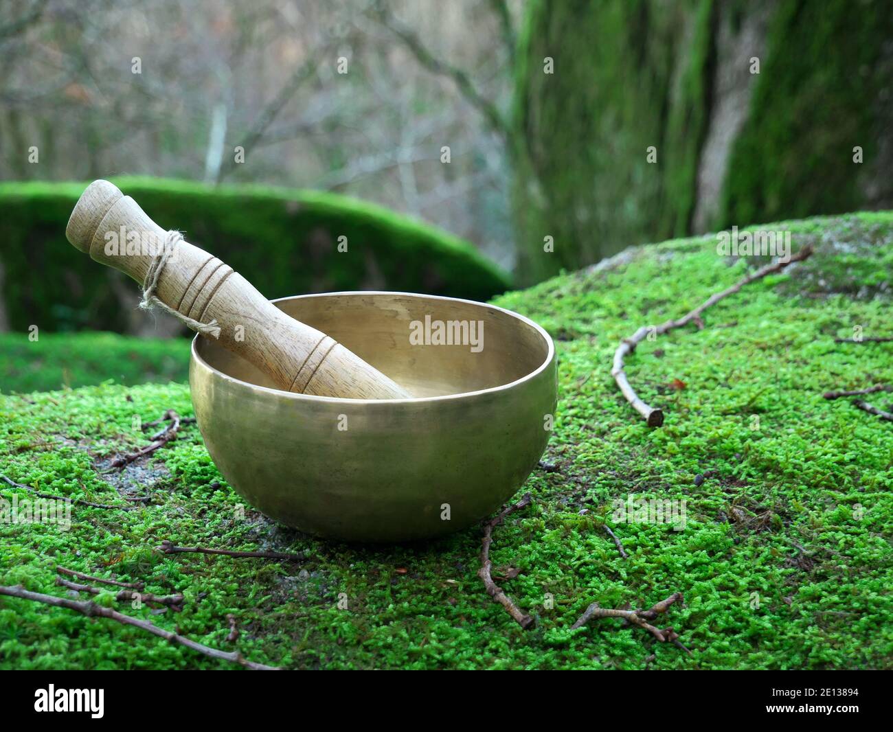 A singing bowl placed on the green moss in nature Stock Photo