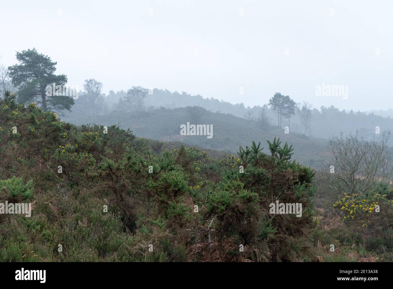 Lightwater Country Park in Surrey, UK, during winter or January, with mist over heathland and hills Stock Photo