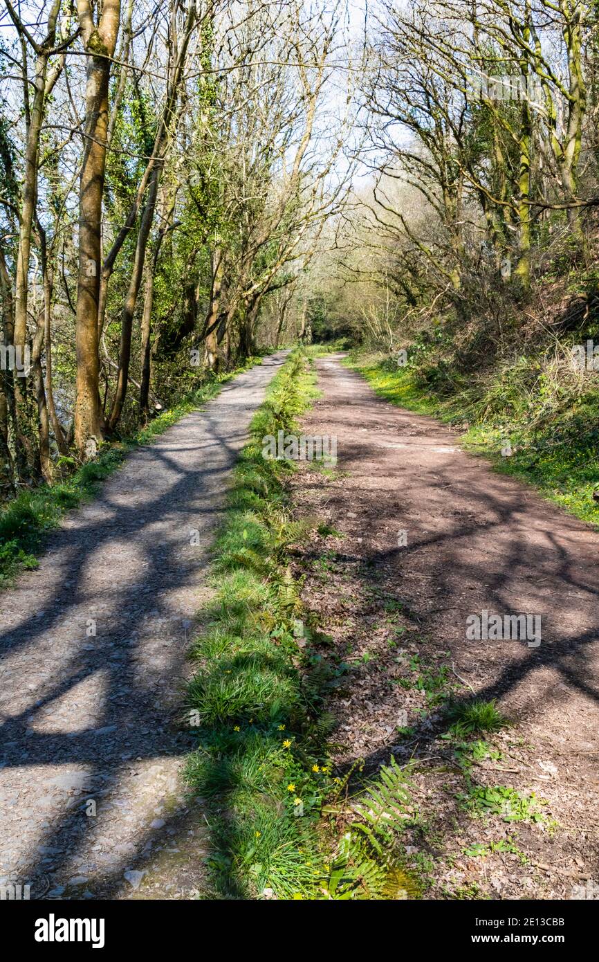 Tarka Valley Railway Torrington Railway High Resolution Stock Photography and Images Alamy