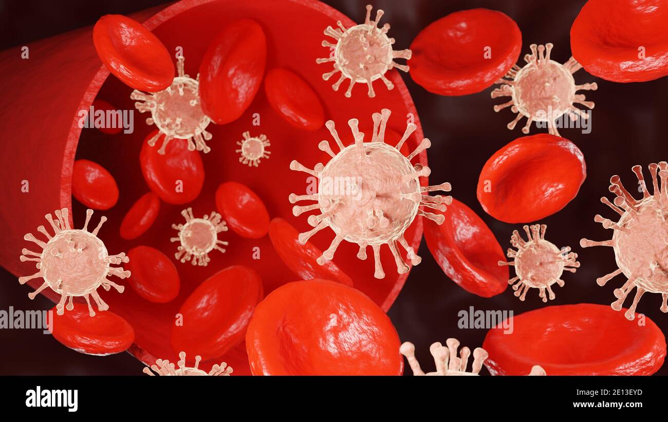 COVID-19 and Red blood cells. Microscope of White Coronavirus disease. Pandemic medical concept. 3D rendering illustration. Stock Photo